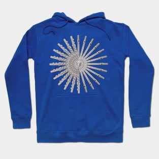 Flute Spiral Hoodie